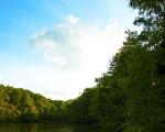 lake-and-forest.jpg